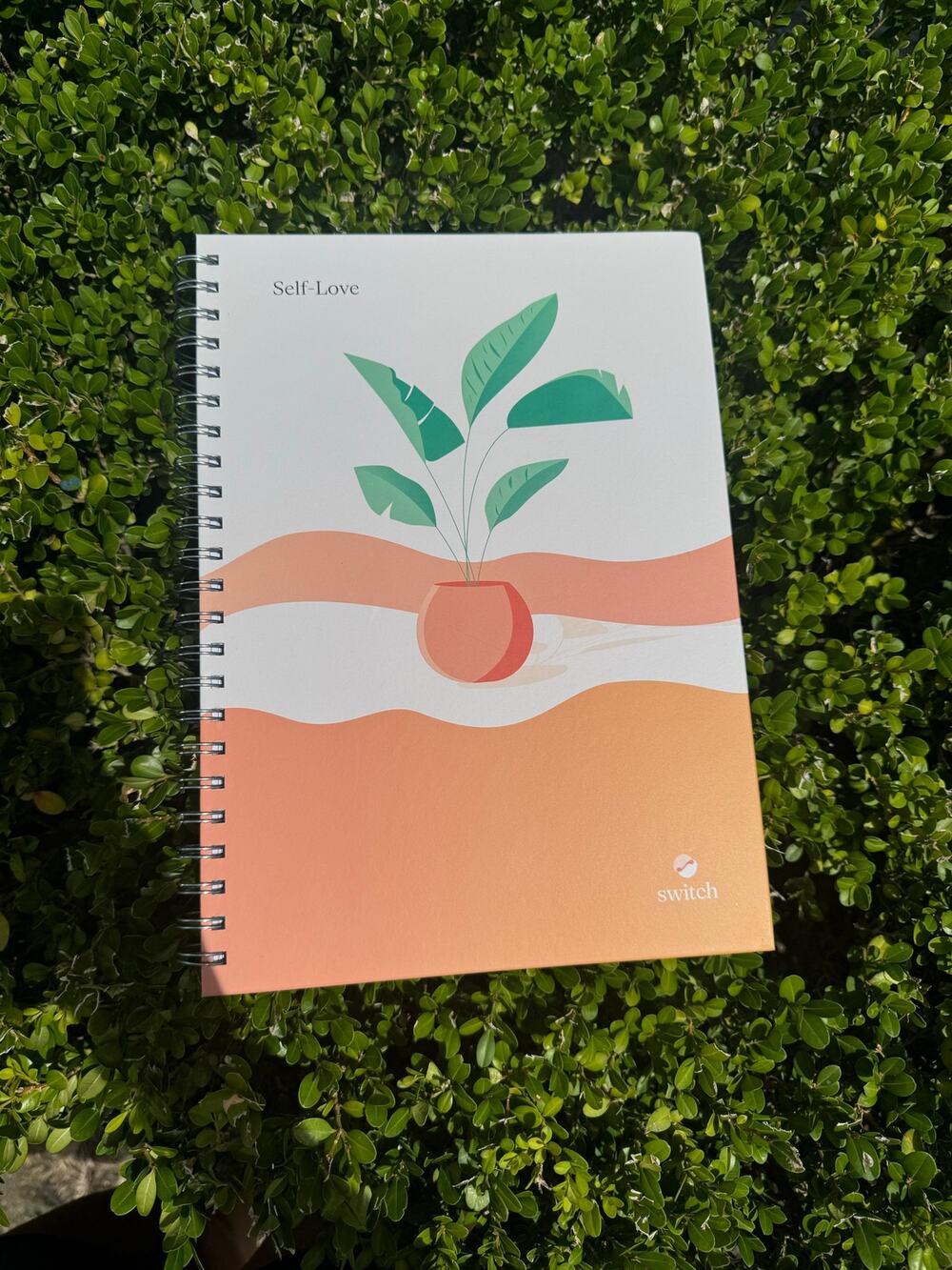 Switch Research Therapy Journal
